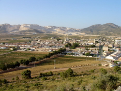 Algueña 0